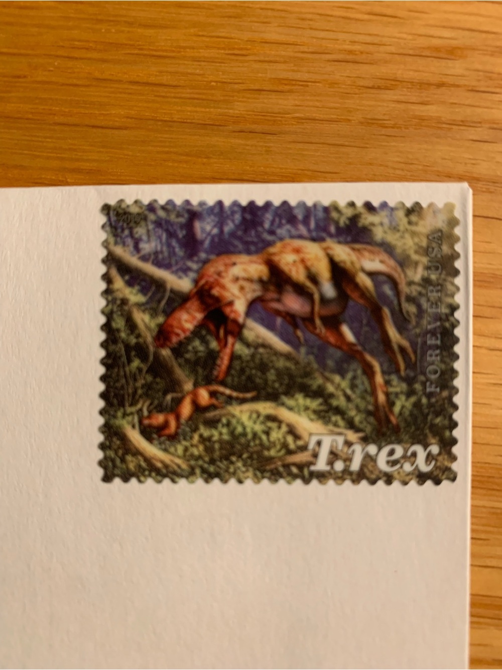 12 Stamped Dinosaur blank notecards - Picture 8 of 10